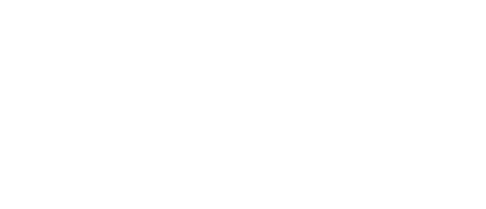 ائلین باخیشی